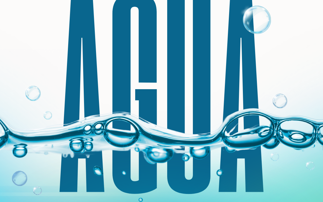 Que pasaría si todos cuidamos el agua en 2026