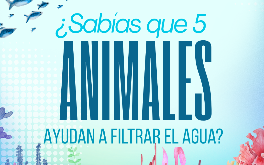 Top 5 Animales que Mejoran la Calidad del Agua