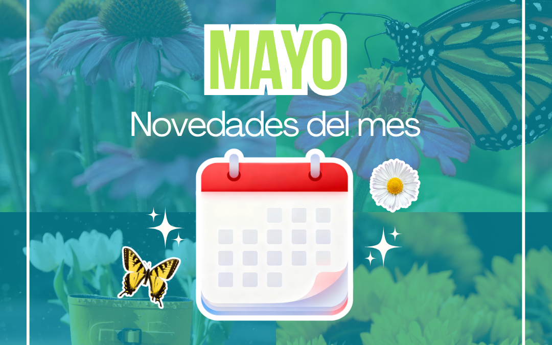 Novedades en mayo 2026 ¿Qué ha pasado este mes?