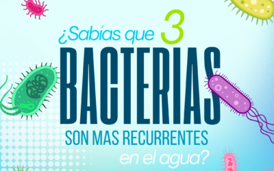 Las 3 bacterias más recurrentes en agua