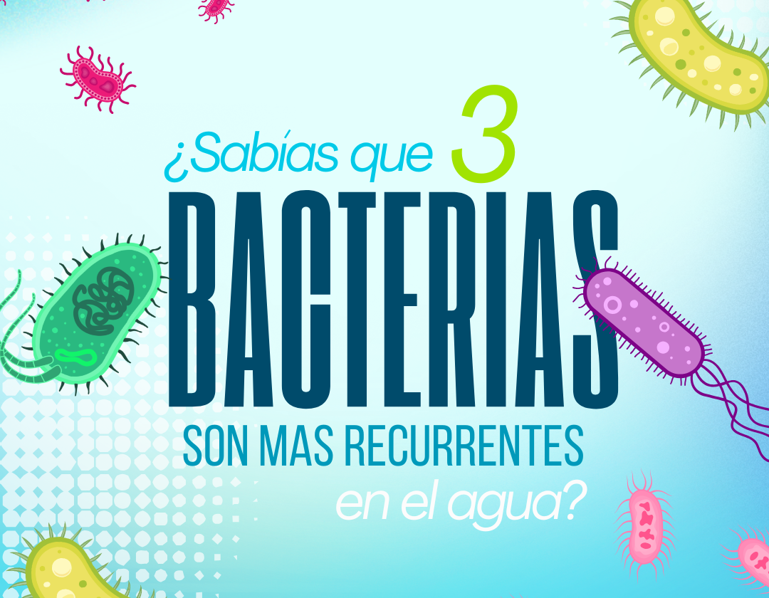 POSTS AQUATECNIA (63)